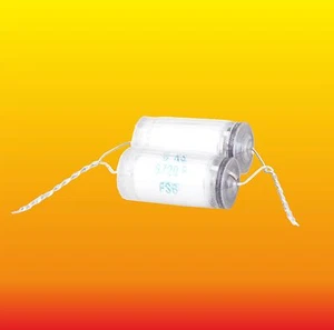 6720 pF (C1+C2) 630 V 1 % LOTE DE 2 CONDENSADORES DE POLIESTIRENO SIEMENS STYROFLEX - Imagen 1 de 2