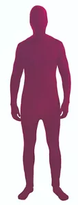 Disfraz Hombre Invisible Adulto Halloween Borgoña Hombre Desaparecido Estándar - Imagen 1 de 1