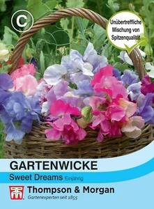 Gartenwicke 'Sweet Dreams' - Lathyrus grandiflora, Wicke, Wicken Samen, 9960 - Bild 1 von 2