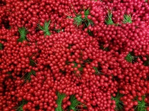 72 pcs VTG Double Ended Red Holly Berries Stamen Peps Christmas Crafts Millinery - Picture 1 of 3