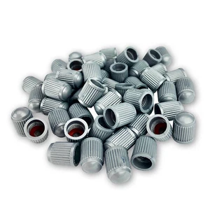 Pack of 50 Gray Valve Stem Caps w Inner Seal for All Schrader Type Valve Stems - Picture 1 of 4