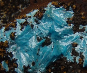 AURICHALCITA espécimen raro y hermoso color TURQUÍA Bursa - Mina Uludağ /pl701 - Imagen 1 de 13