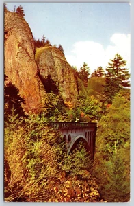 Postcard Shepherd's Dell Bridge Columbia River Highway Oregon Photo Ray Atkeson - Picture 1 of 2