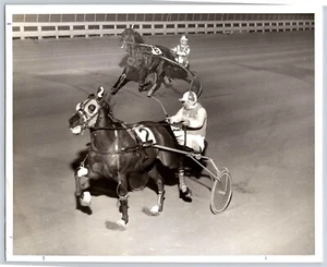 Geschirr Racing Trotter Pferderennen Superior Speed Yonkers Raceway 8x10 Foto  - Bild 1 von 2