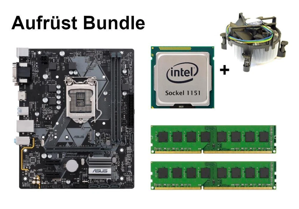 Bundle ASUS Prime H310M + CPU Intel Core i3 i5 i7 + RAM da 4GB a 32GB selezionabile - Immagine 1 di 1