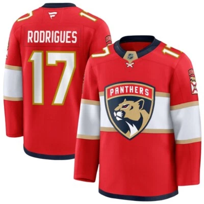 ¡¡NUEVO!! Cosido Evan Rodrigues #17 Florida Panther nombre y número regalo hecho por abanicos Foto 1 de 4