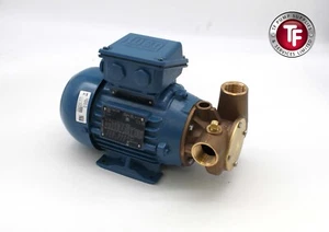 Jabsco Utility 40' 53041-2053-400 1" Self-Priming Flexible Impeller Pump for Lub - Picture 1 of 10