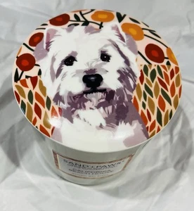 Sand + Paws California Beach House 14 oz Candle Odor Neutralizer Ceramic Lid - Picture 1 of 3