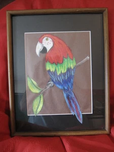 Hand Colored Parrot Cutout Colorful Picture "no frame included" - Picture 1 of 11