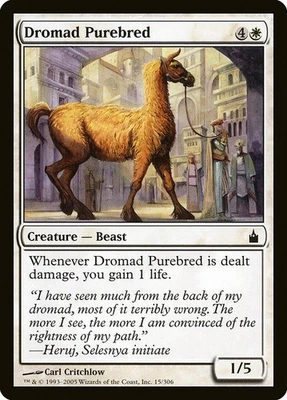 (2x) DROMAD PUREBRED - Ravnica: City of Guilds – MTG Magic the Gathering Card - Image 1 of 4