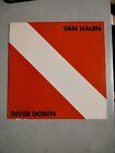 Vintage Van Halen Diver Down LP 1982