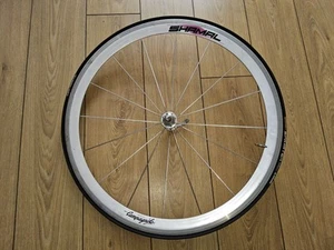 Campagnolo Shamal Road Bike Front Wheel Rim Brake 700c Tubular - Imagen 1 de 4