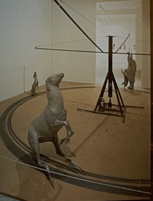 Bruce Nauman "Carrossel" Arte Moderna Americana Slide 35mm - Imagem 1 de 2