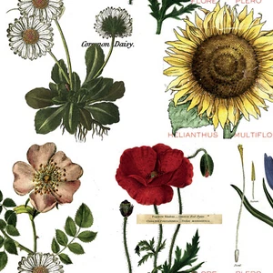 Diario de Arte ~ FLORES BOTÁNICAS en Blanco Bkgnd ~ Riley Blake ~ J. Wecker Fresch - Imagen 1 de 2