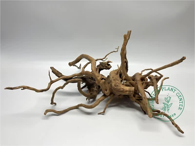 Black Spider Wood / Aquarium Décor / Terrarium / Reptile Tank / Aquascapin