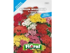Milenrama - Aromáticas L - Semilla Semillas 5 Piezas Super Descuento - Imagen 1 de 1