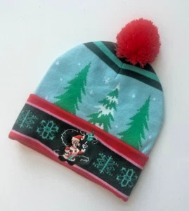 Disney World Youth Hat Beanie Cap Blue Green Mickey Mouse Embroidered Holiday - Picture 1 of 2