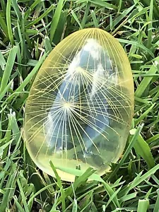 Huevo de telaraña rutilado Lucite amarillo vintage - ¡Muy único! - Imagen 1 de 12