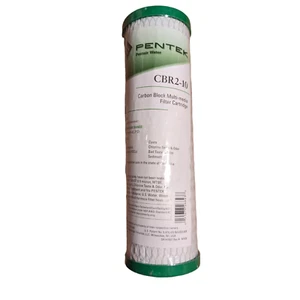 Pentair Carbon Block Filter Cartridge CBR2-10 New factory sealed - Picture 1 of 4