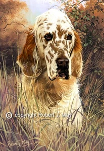 Estampado de Setter Inglés Firmado por Robert J. May - Imagen 1 de 1