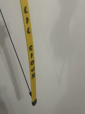 Lote de 2 Arcos Barnett Archery Lil' Sioux Bow e Outros Arcos com Flechas - Imagem 1 de 4