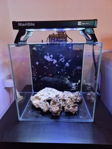 boyu 128l marine tank