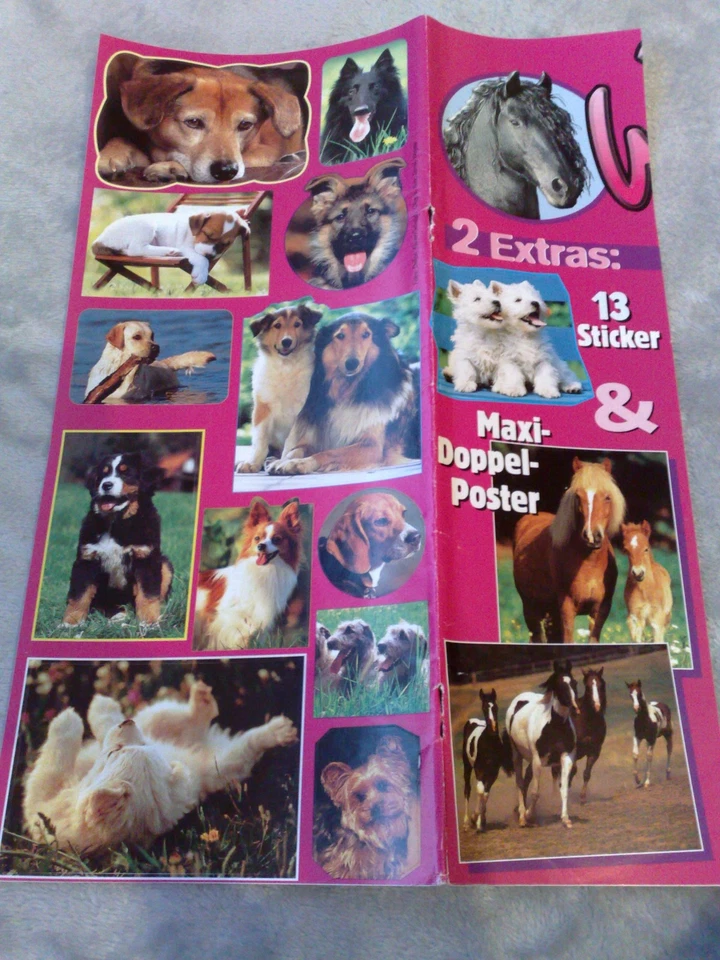 Sticker Wendy 13 Aufkleber Hunde Pferde - Bild 1 von 1