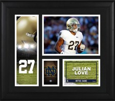 Julian Love Notre Dame Fighting Irish Framed 15" x 17" Player Collage