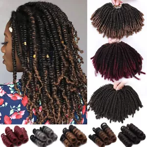 US Curly Wavy Afro Spring Twist Passion Braids Hair Crochet Extension AS Human - Picture 1 of 51