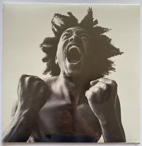 Hardcore Hip Hop Vinyl Bobby Sessions Manifest Record New Sealed 0602438454396 - Picture 1 of 7