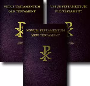 Bible Latin/English The Complete Bible in 3 Volumes Vulgate & Challoner Rheims - Picture 1 of 6