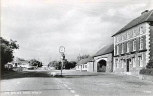 REAL PHOTO POSTCARD OF THE SHELLEY ARMS, NUTLEY, (NEAR UCKFIELD), SUSSEX - Picture 1 of 2