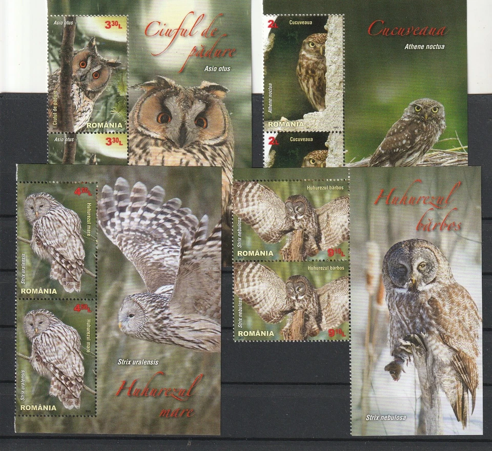 Rumania 2013 SELLOS BÚHO AVES RAPACES BÚHOS MNH ETIQUETAS POST RAPAZ Foto 1 de 1