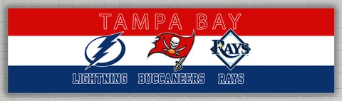 Tampa Bay Lightning, Buccaneers, Rays Tampa City Banner 2x8ft 60x240cm Best flag Cover