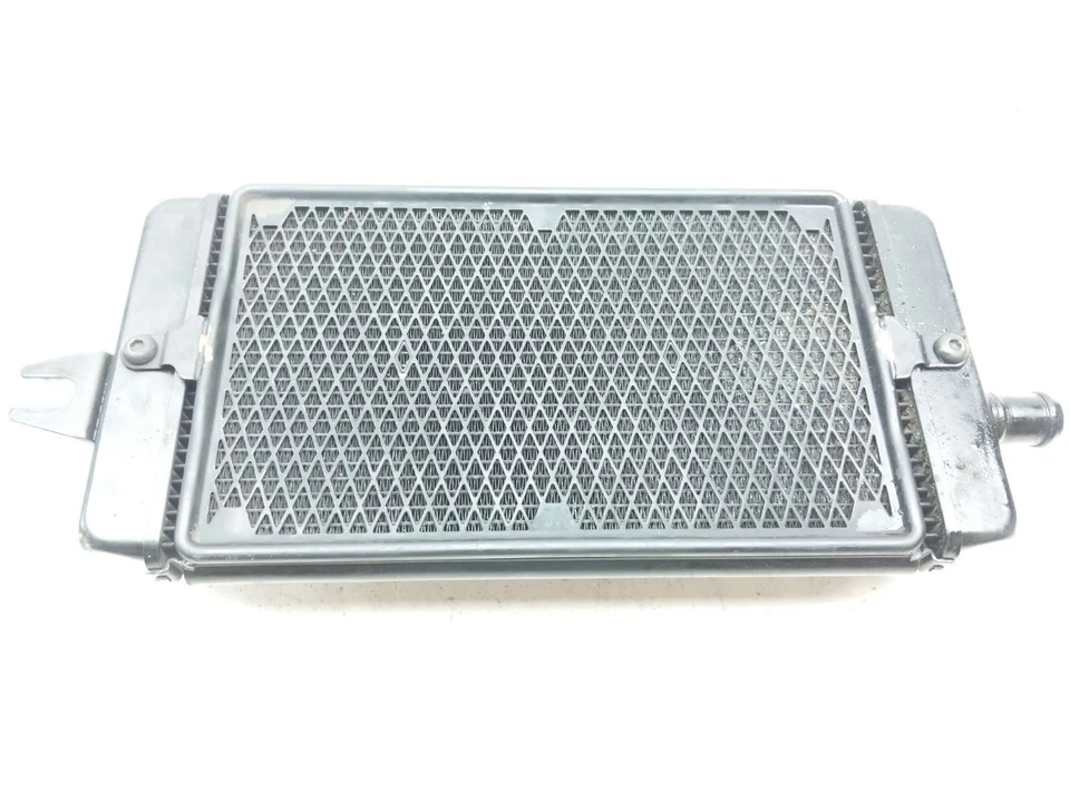 16 Triumph Bonneville T120 Radiator B Foto 1 de 4