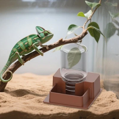 Alimentador de água automático de répteis prato de água reutilizável para tartaruga lagartixa - Imagem 1 de 2
