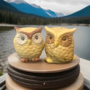 Custom Handmade Owl Salt & Pepper Shakers, Hand-painted Ceramic by Local Artist - Picture 1 of 8