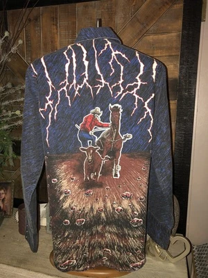 Vintage Wrangler Brushpopper Lightning Shirt Striped Western Cowboy Size 15-34 S - Image 1 of 4