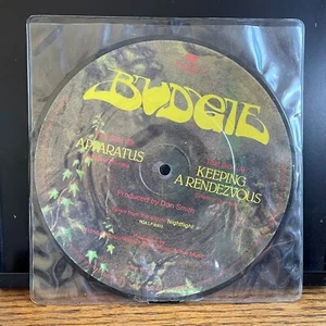 BUDGIE KEEPING A RENDEZVOUS / APPARATUS 7" PICTURE DISC 45 1981 UK NEAR MINT - Picture 1 of 4