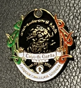 MOTORCYCLE Pin Badge HARLEY DAVIDSON 25th ANNIV HOG CHAPTER WINNERS ITALY 2008 - Picture 1 of 2