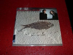 ROCK AND HYDE DIRTY WATER 45 PICTURE SLEEVE 45 WITH PROMO INSERT - Foto 1 di 3