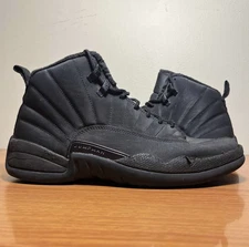 aj 12 winterized