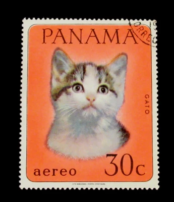 Estampillas de Panamá gatos gatos 1967 usadas originales Foto 1 de 2