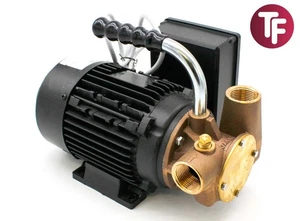 Jabsco 53041-2053-230 1" BSP Utility 40 Flexible Impeller Oil Transfer Pump 230V - Picture 1 of 12