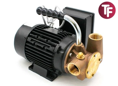 Jabsco 53041-2053-230 1" BSP Utility 40 Flexible Impeller Oil Transfer Pump 230V - Image 1 of 4