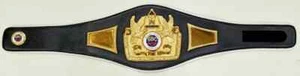 GBC Global Boxing Council Campeón Mundial Título Cinturón Copia Como Original 3D - Imagen 1 de 4