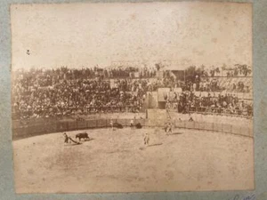 1888 Bull Fighting Albumen Photograph in Oran Algeria by Jean Geiser Switzerland - Picture 1 of 4