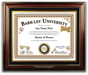 Boxer PERSONALIZED CERTIFICATE Diploma Dog Tag Toy - Breeder Trainer Lover GIFT - Picture 1 of 3