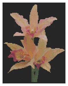 Patrón de punto de cruz de Florashell - flor en aerosol de orquídea naranja - Imagen 1 de 1