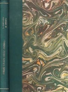 ERSTE TIERSTUDIE L.CAMERANO M.LESSONA 1882 TREVES (VA329) - Bild 1 von 4